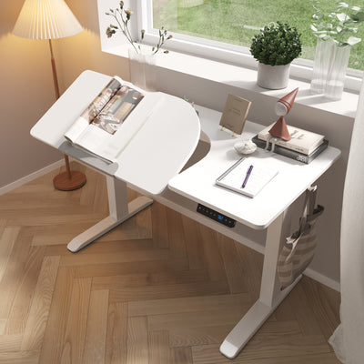 Electric Height Adjustable Student Desk 2 Motor