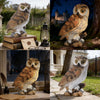 Ayadon Solar Owl Garden Outdoor Statue,Owl Figurine Sculpture with LED Lights for Porch Patio Lawn Yard Deck Decor - Ideal Housewarming Christmas Gift for Women Men Owl Lover(Brown)