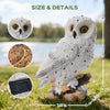 Ayadon Solar Owl Garden Outdoor Statue,Owl Figurine Sculpture with LED Lights for Porch Patio Lawn Yard Deck Decor - Ideal Housewarming Christmas Gift for Women Men Owl Lover(White)