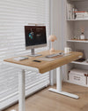 Home Office Workstation Height Adjustable Stand Table Electric Lift Furniture Computer Desk