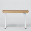 Home Office Workstation Height Adjustable Stand Table Electric Lift Furniture Computer Desk