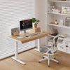 Home Office Workstation Height Adjustable Stand Table Electric Lift Furniture Computer Desk