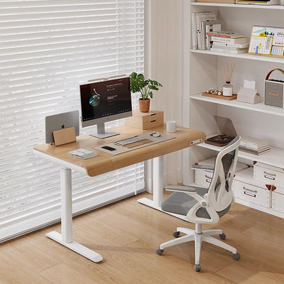 Home Office Workstation Height Adjustable Stand Table Electric Lift Furniture Computer Desk