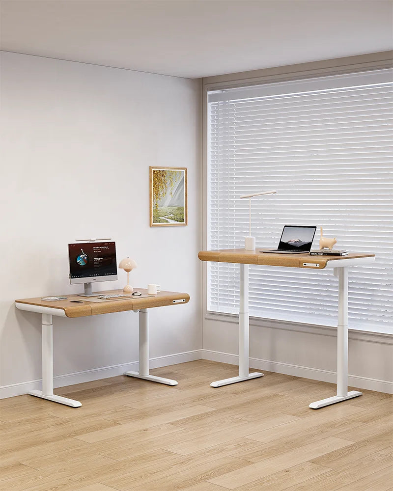 Home Office Workstation Height Adjustable Stand Table Electric Lift Furniture Computer Desk