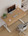Home Office Workstation Height Adjustable Stand Table Electric Lift Furniture Computer Desk