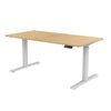 Electric Dual Motor Computer Desk Height Adjustable Office Tables Motorized  Sit Stand Desk Frame