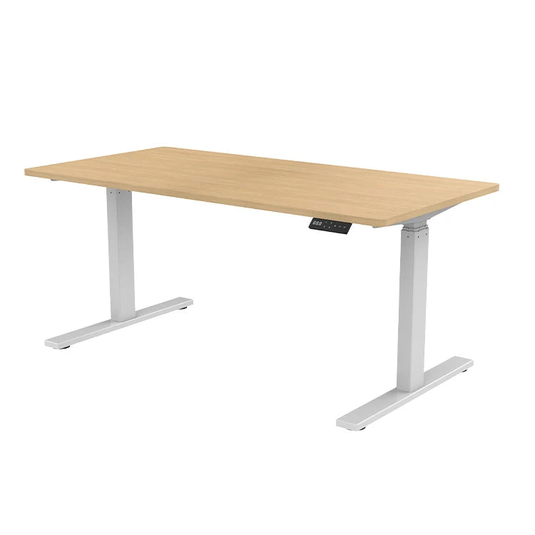 Electric Dual Motor Computer Desk Height Adjustable Office Tables Motorized  Sit Stand Desk Frame