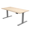 Electric Dual Motor Computer Desk Height Adjustable Office Tables Motorized  Sit Stand Desk Frame
