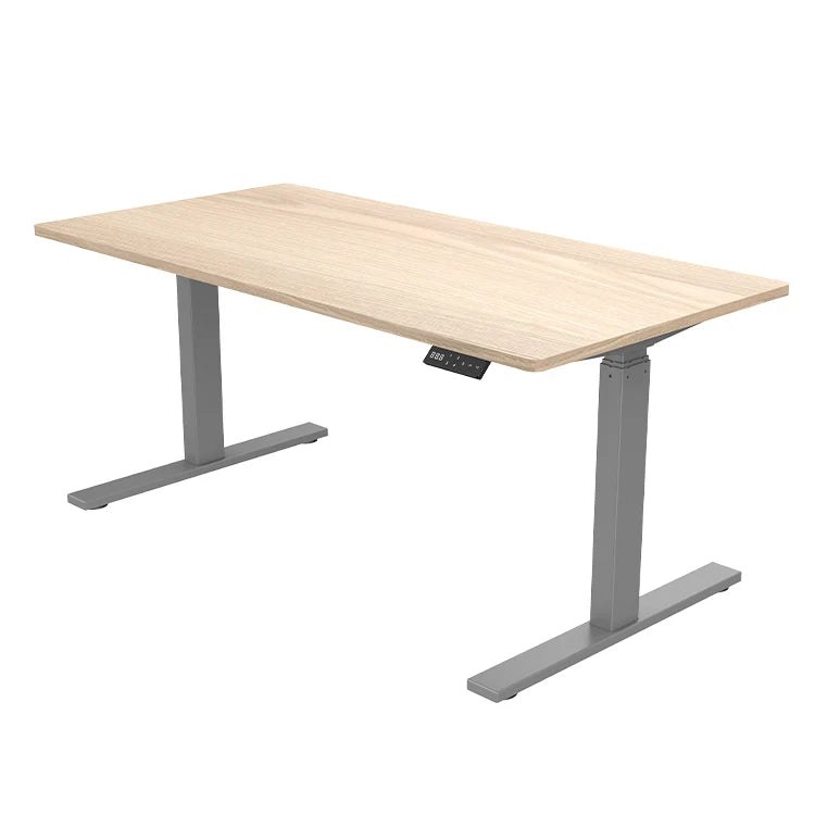 Electric Dual Motor Computer Desk Height Adjustable Office Tables Motorized  Sit Stand Desk Frame