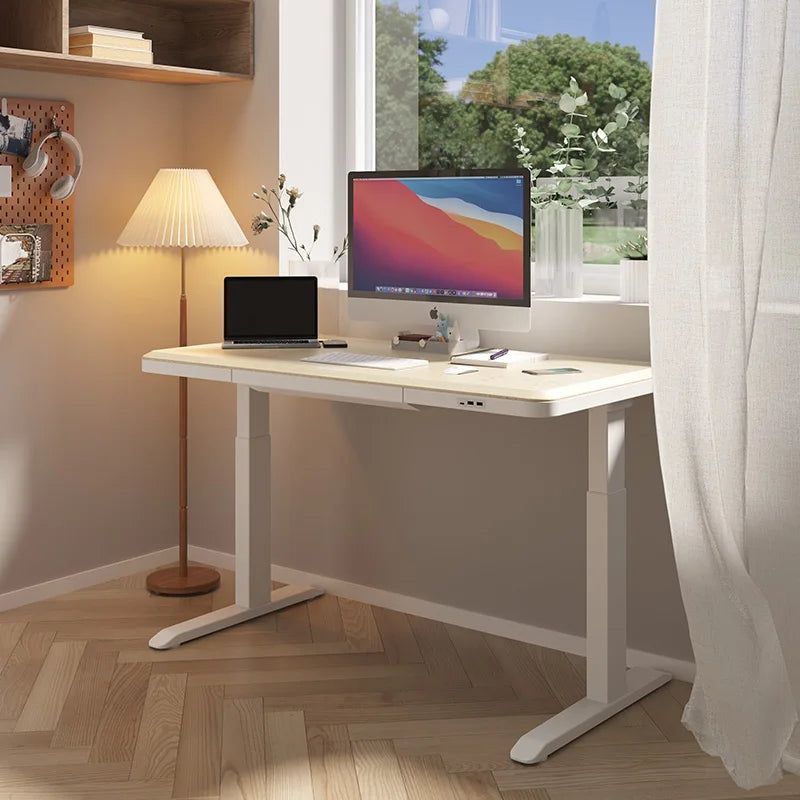 Wooden Stand up Desk Adjustable Height Modern Multi-functional Home and Office Desk