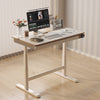 Teenager Electric Lifting Tilts Kids Study Desk