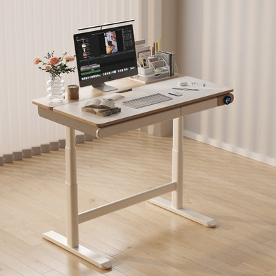 Teenager Electric Lifting Tilts Kids Study Desk