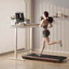Teenager Electric Lifting Tilts Kids Study Desk