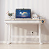 Teenager Electric Lifting Tilts Kids Study Desk