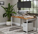 Standing Desk Converter
