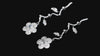 Aureline-Jewelry Petal Lab Diamond Drop Earrings 14K 18K White Gold
